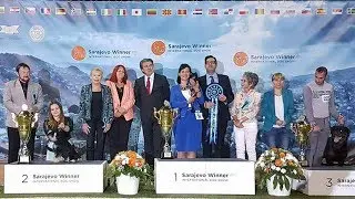 WOW! Russkiy toy wins Supreme BIS!!! Русский той выигрывает Бест-ин-Шоу!