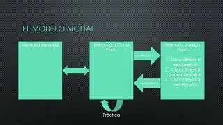 Psicología Cognitiva: Memoria Sensorial