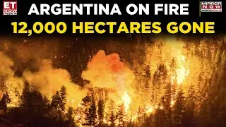 Argentina Battles Huge Wildfire Crisis as Flames Destroy Forests | World News | ET Now