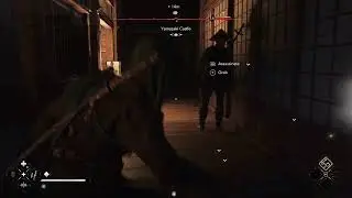 Assassination Compilation (AC Shadows)