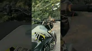 gangster 🖤⚡... #bike #instagram #viral #love #bickelover #rider #ridergirl #viralvideo #like