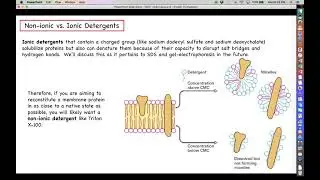 Proteomics - Principles of Protein Purification - Detergents and Chaotropic Agents