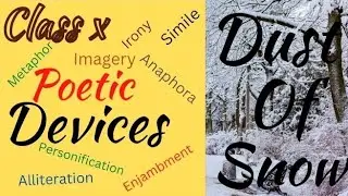 Dust of Snow Class 10 (CBSE) |Poetic devices | Explanation