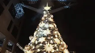 Christmas Carols at the Parq: Aseana City Tree Lighting Ceremony