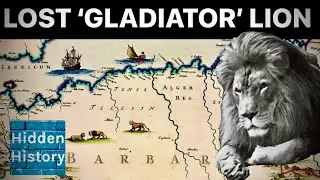The lost lions that fought gladiators in Ancient Rome