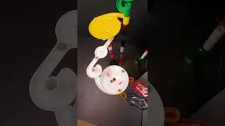 ASMR Marble Run Adventure #shorts