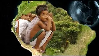 Amazon Rainforest: A Case for Sustainable Development
