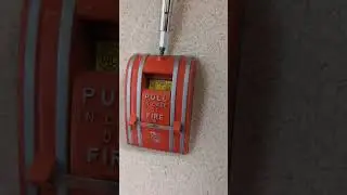 I'm back! Monthly Fire Alarm Inspection at a Strip Mall (120VAC System) #firealarm