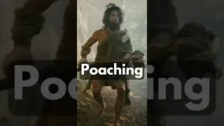 🪓What is Poaching? | TIRLA ACADEMY | #hunting #poaching