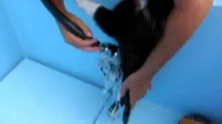 Delta's first hydrobath