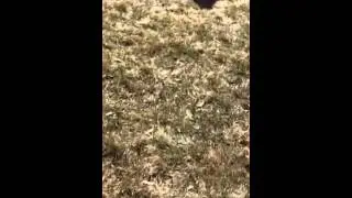 Mom having fun on the scooter