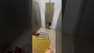 Dieser Hund war so aufgeregt, in sein neues Zuhause zu kommen.