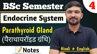 Parathyroid Gland (पैराथाइरॉइड ग्रंथि) | Endocrine Gland | BSc Semester || By Dadhich Sir