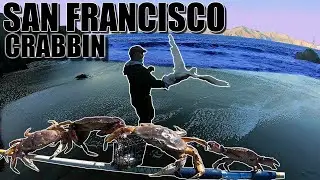 SAN FRANCISCO CRABBING | SAVING SEAGULLS | BAKER BEACH | CHINA BEACH