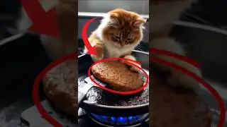 burger time!! #cookingcat #catcooking #aicat