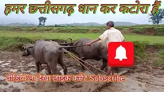 prem music prtappur 🙏 खेती किसानी कैसे कर थे ओला आप मन देखा आऊ वीडियो ला 👌 लाइक कमेंट सब्सक्राइब करा