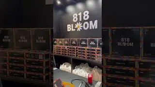 Ảnh ra g&igrave; l&agrave; phải c&oacute; đ&oacute; #gdragon #818bloom #shorts #cobatv #kpop #viral #duhocsinhhanquoc #xuhuong