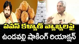 Undavalli Arun Kumar Comments On Pawan Kalyan : PDTV News