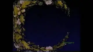 BBC Video Slides Compilation   The Animals of Farthing Wood Range 1993 1996