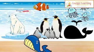 [Sea animals] What is the same shape ? Sea animal puzzle 35  For kids & baby 0 year old to1 year old