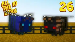 THE MOST IMPORTANT BEES - all the mods 10