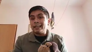 Repartimientos