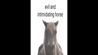 Chivalry 2 Anti horse missile
