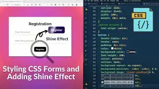 Styling a CSS Form & Adding a Shine Effect Using CSS Transitions : Exercise