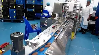 ensacheuse horizontale,ensacheuse flow pack,machine d'emballage automatique,Bafu Machinery