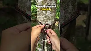 The KING of Survival Knots That Will Never Fail You Outdoors! #knot #rope #survival #outdoorskills
