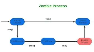 Orphan Process And Zombie Process In Operating System