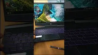 How To Reset Graphics Card Driver in windows 11 and windows 10
