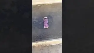 F1 vs Labogene