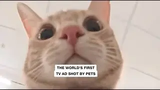 Shop It Like It&rsquo;s Hot | Petshop Science