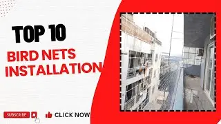 Top 10 bird net installation near me | pigeon net installation in Gurgaon