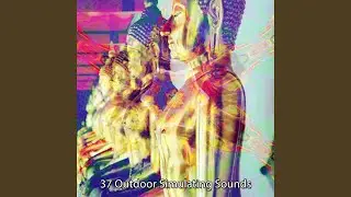 Accumulate Wisdom