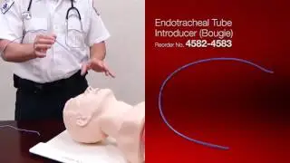 Dynarex &reg; | Bougie