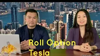 L&agrave;m Sao Roll Option Tesla