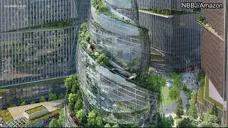 ПЕРВЫЙ ВЗГЛЯД: визуализация здания Helix штаб-квартиры Amazon 2 в Арлингтоне