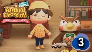 Catching Bugs & Fish to Build the Museum | Animal Crossing New Horizon