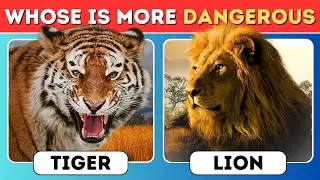 Can You Survive a Jungle? Animal Danger Quiz | which animal is more dangerous