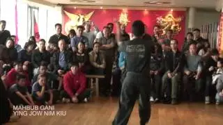 Sifu Tang Cho Tak's 40th Anniversary UK Pak Mei Kung Fu Gathering