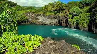 Niho 5 Best Inspirational Quotes