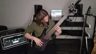 Beyond Creation - Omnipresent Perception (Bass Cover)