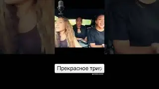 Красивое трио #хит #музыка #sorts #топхиты #песня #ихищутвсе #топ #трио
