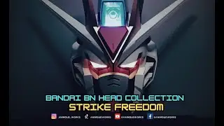 Обзор Bandai BN Head Collection Vol. 2 Strike Freedom!!