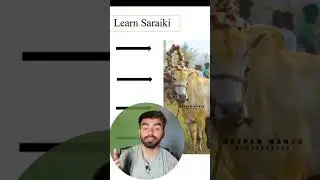 Daand kisy kehty hn | Saraiki Learning Course | Saraiki learning