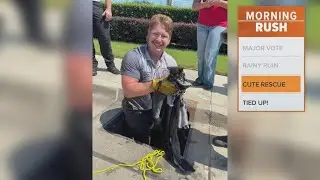 Kitten rescued from storm drain in Burleson, Texas
