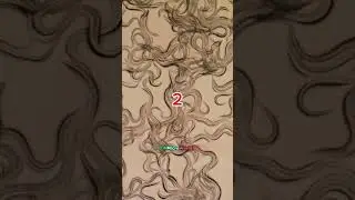 Microscope Experiment