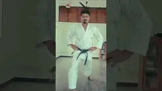 Master Zenkutsu Dachi to improve balance, posture, and technique
